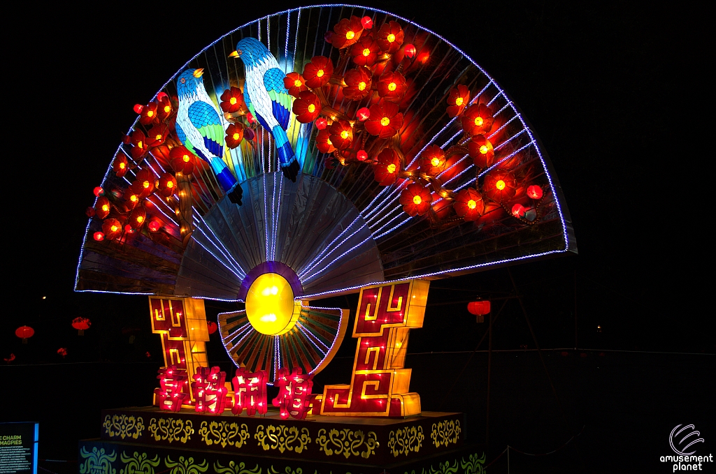 Chinese Lantern Festival