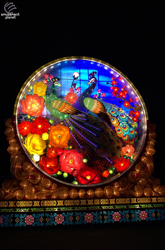 Chinese Lantern Festival