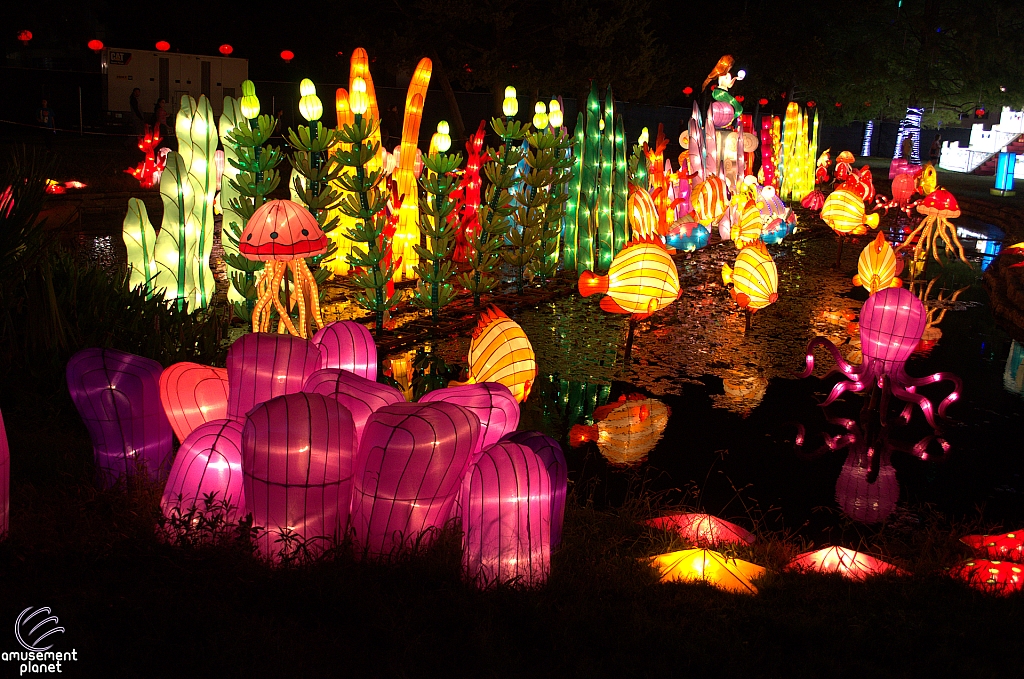 Chinese Lantern Festival