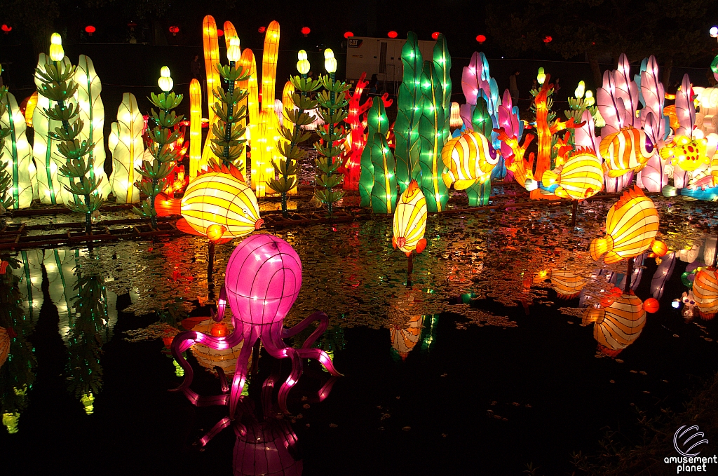 Chinese Lantern Festival