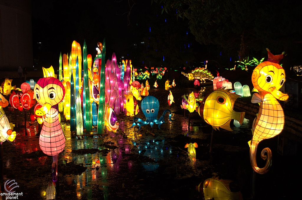 Chinese Lantern Festival