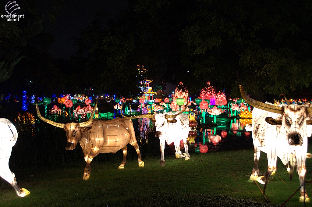 Chinese Lantern Festival