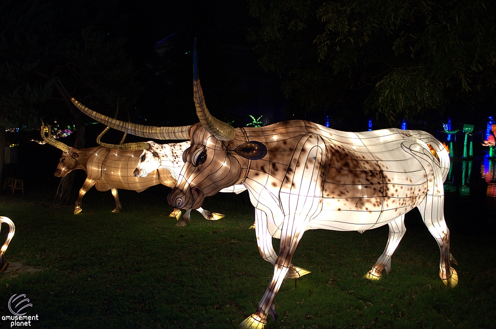 Chinese Lantern Festival