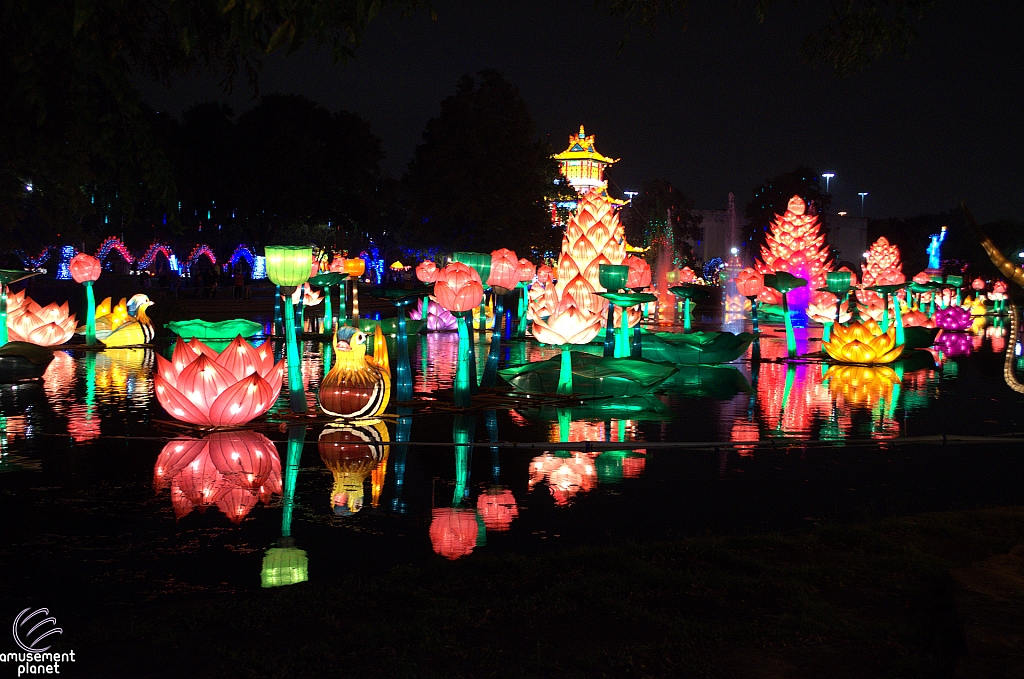 Chinese Lantern Festival