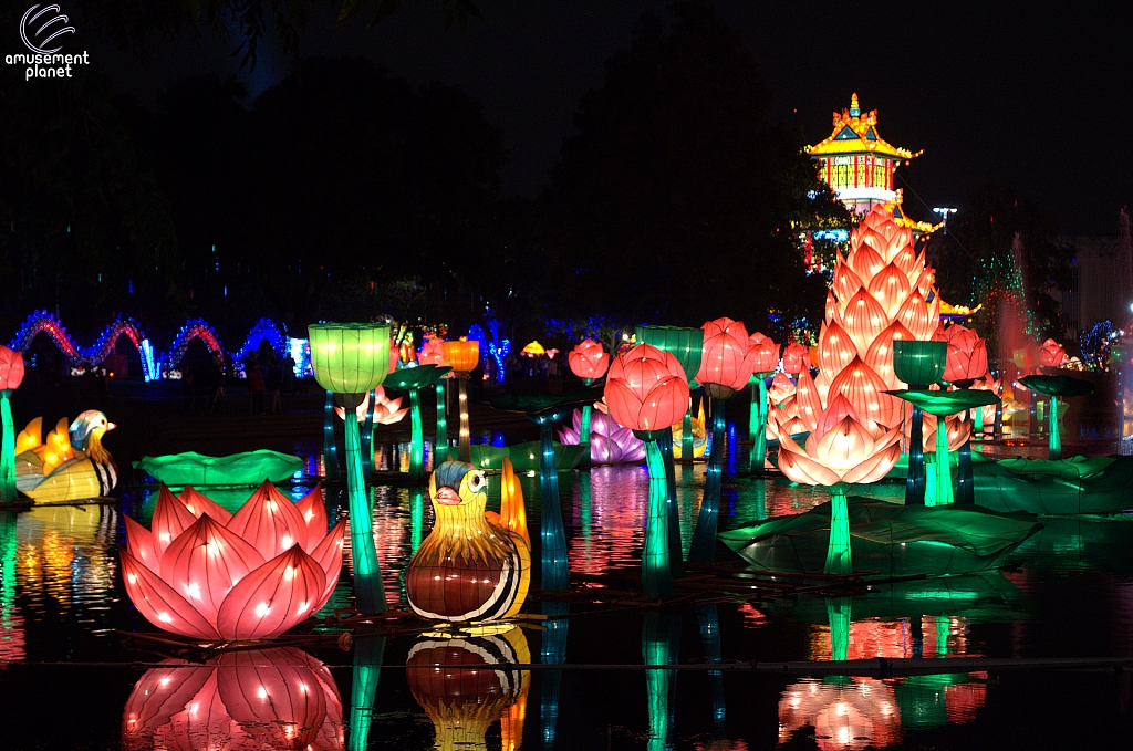 Chinese Lantern Festival