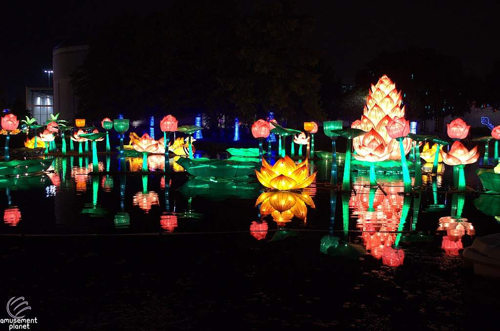 Chinese Lantern Festival