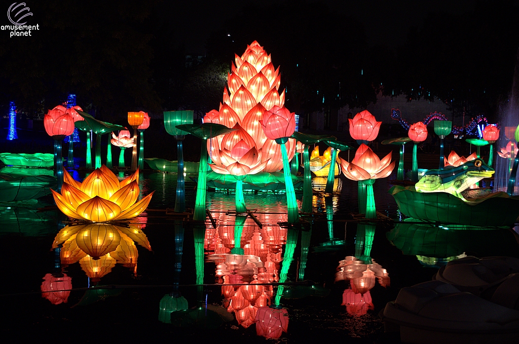 Chinese Lantern Festival