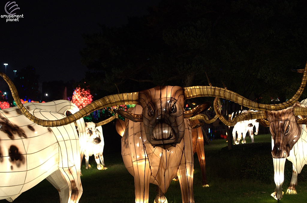 Chinese Lantern Festival