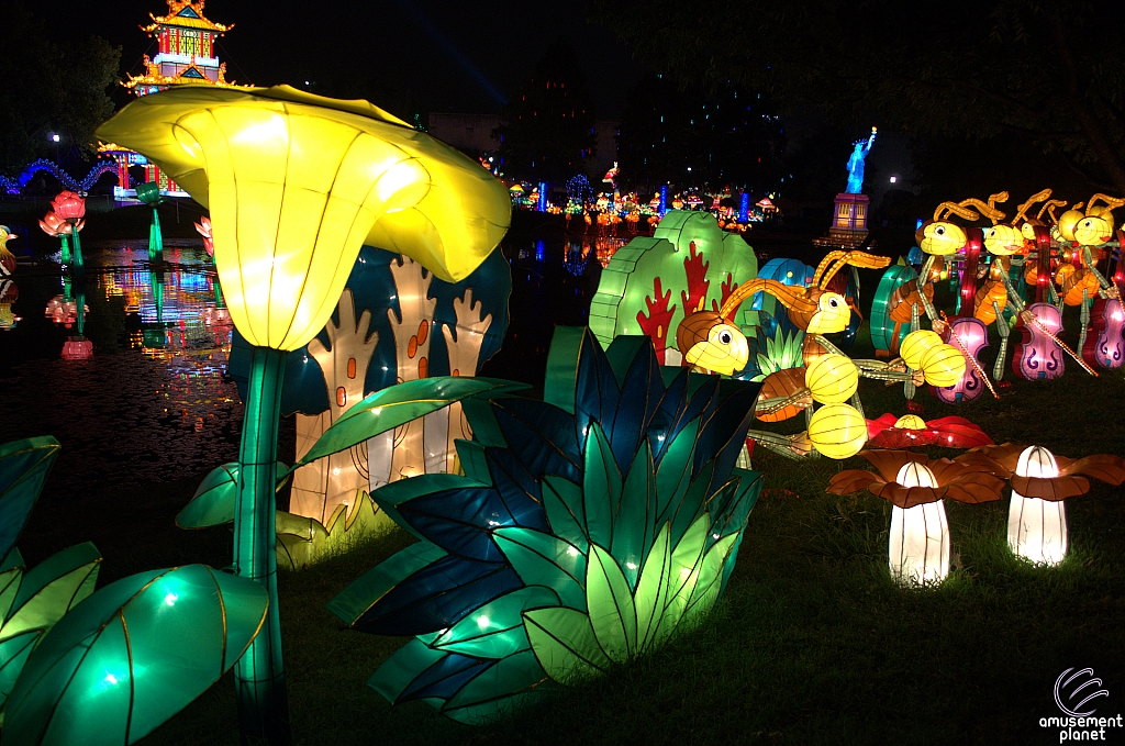 Chinese Lantern Festival