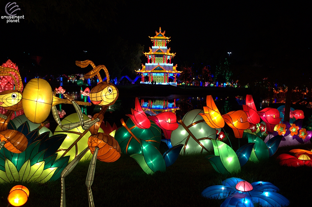 Chinese Lantern Festival