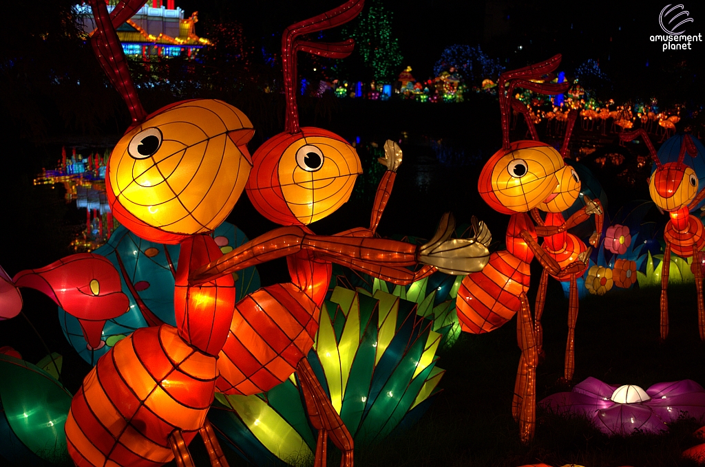 Chinese Lantern Festival