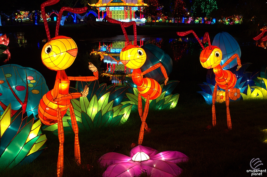 Chinese Lantern Festival