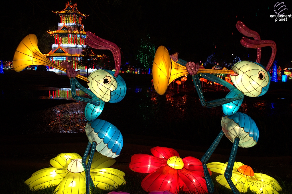 Chinese Lantern Festival