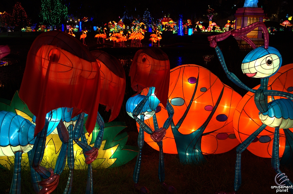 Chinese Lantern Festival