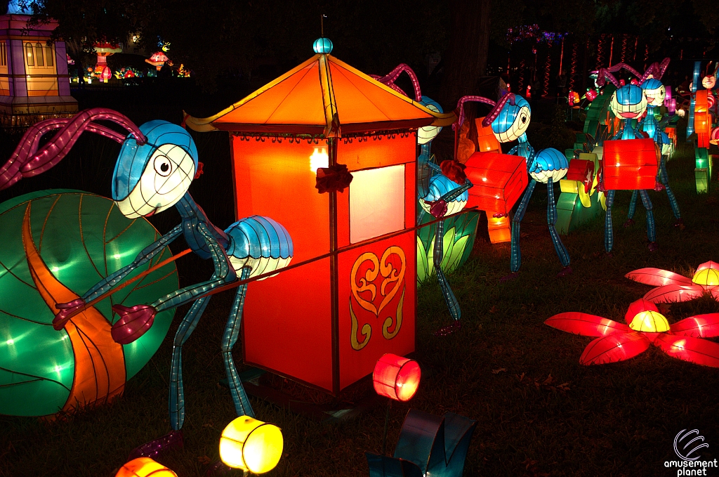 Chinese Lantern Festival