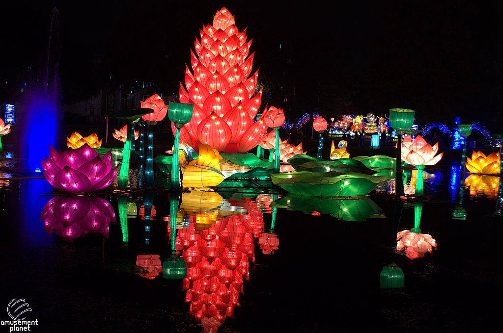 Chinese Lantern Festival