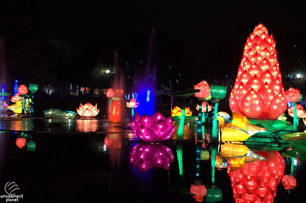 Chinese Lantern Festival