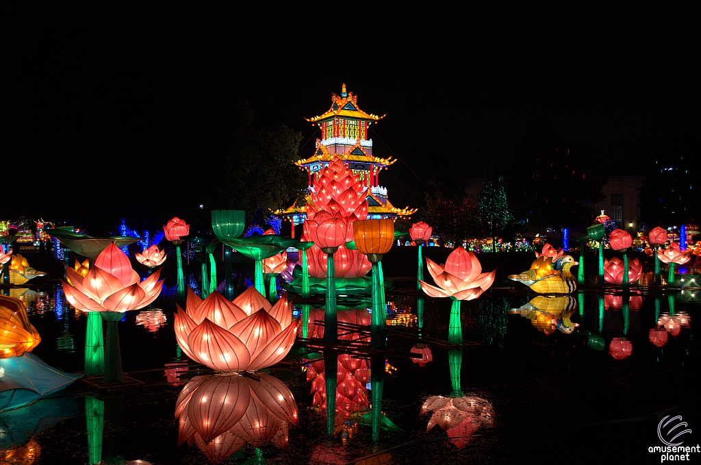 Chinese Lantern Festival