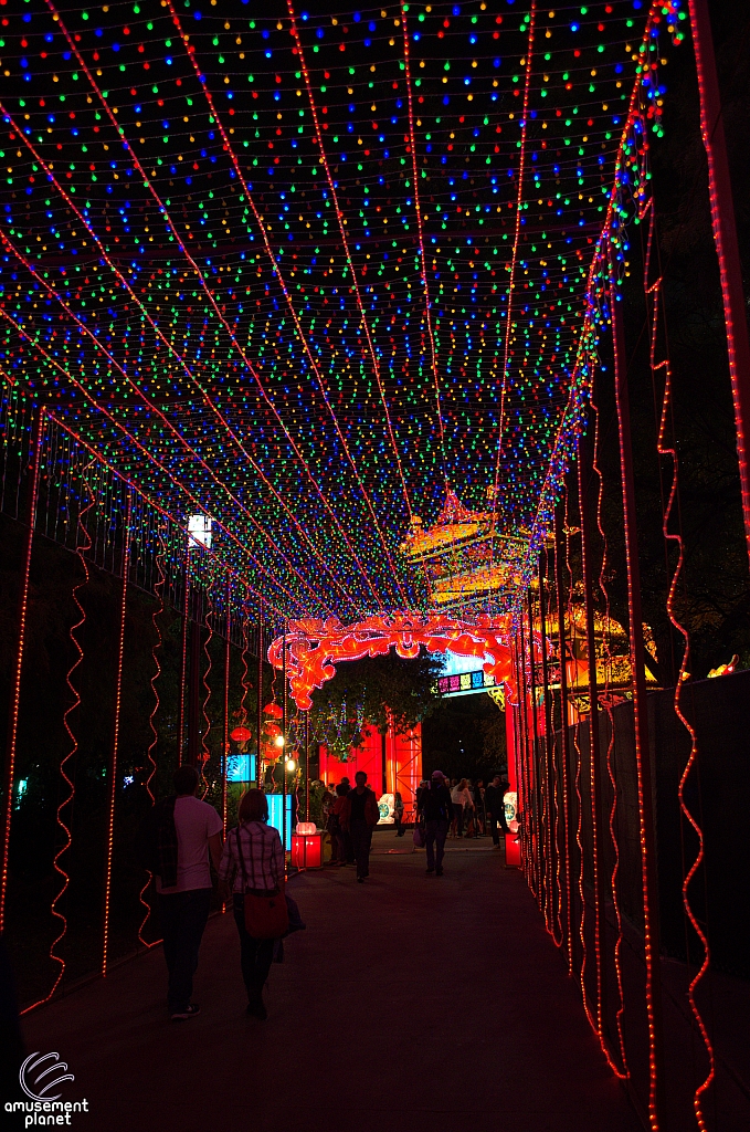 Chinese Lantern Festival