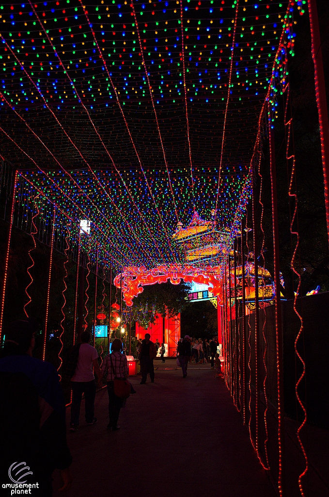 Chinese Lantern Festival