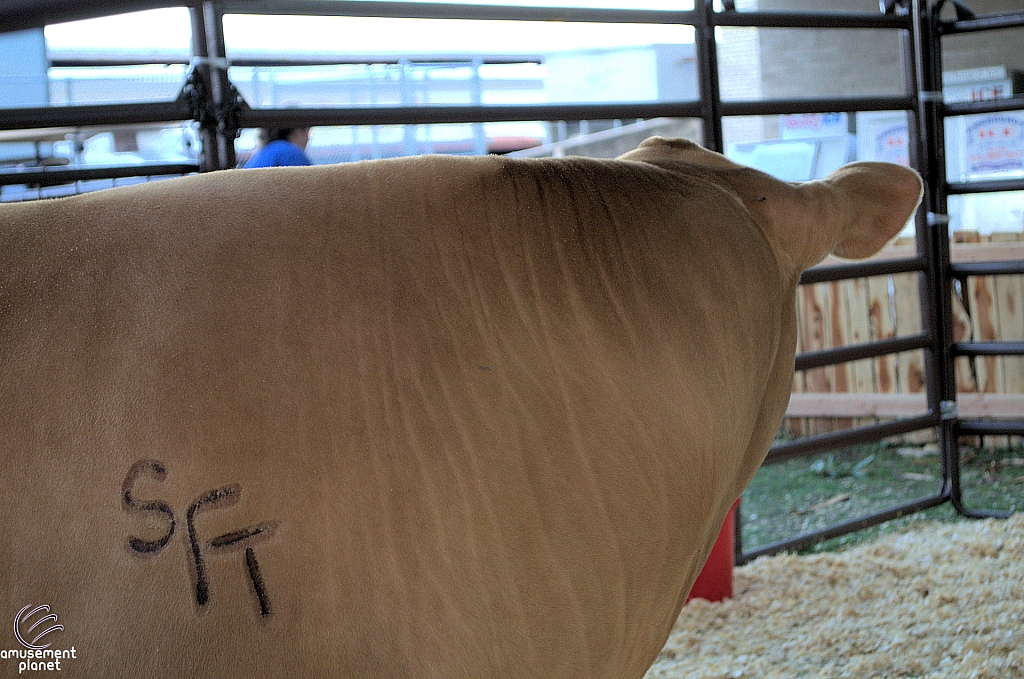 2012 State Fair of Texas