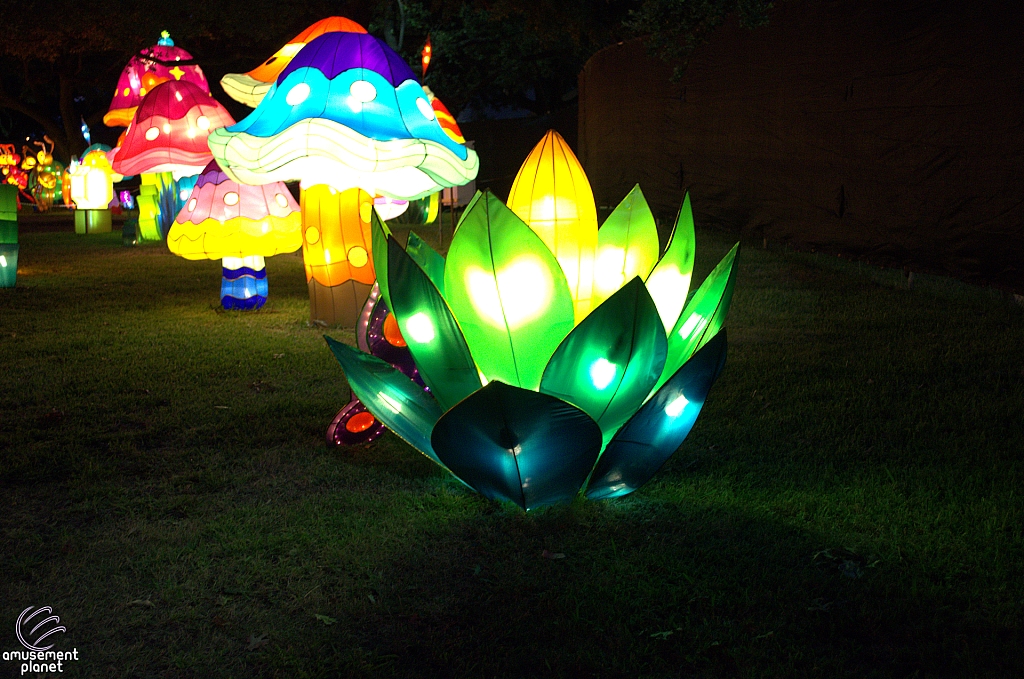 Chinese Lantern Festival