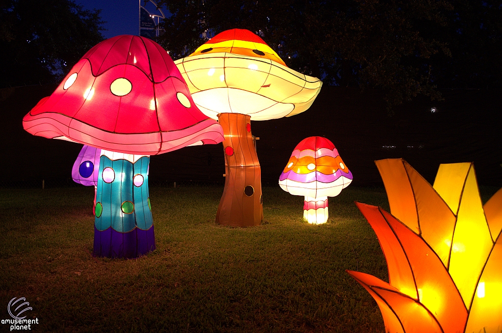 Chinese Lantern Festival