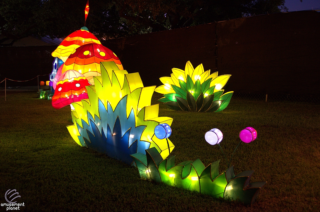 Chinese Lantern Festival