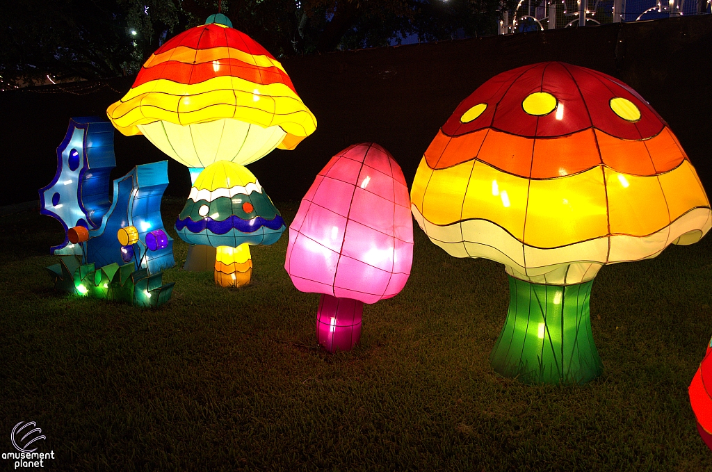 Chinese Lantern Festival