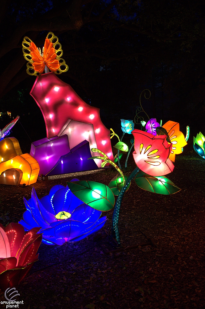 Chinese Lantern Festival