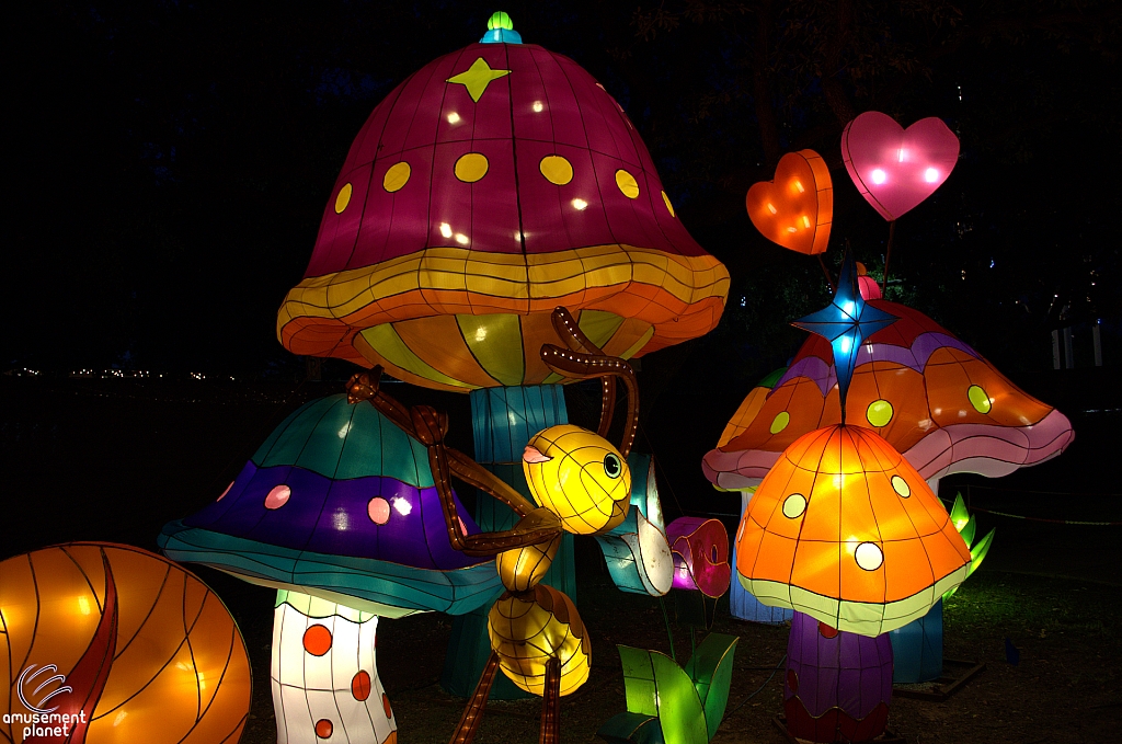 Chinese Lantern Festival