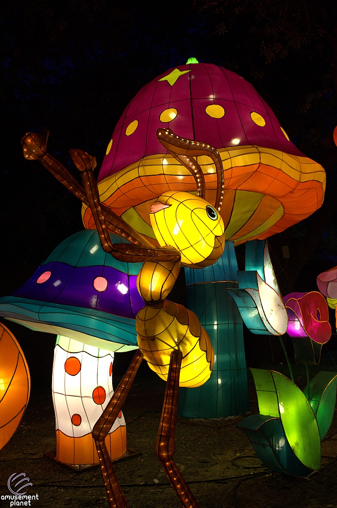 Chinese Lantern Festival