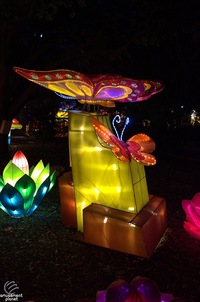 Chinese Lantern Festival