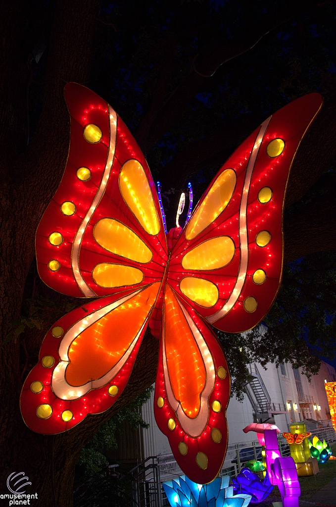 Chinese Lantern Festival