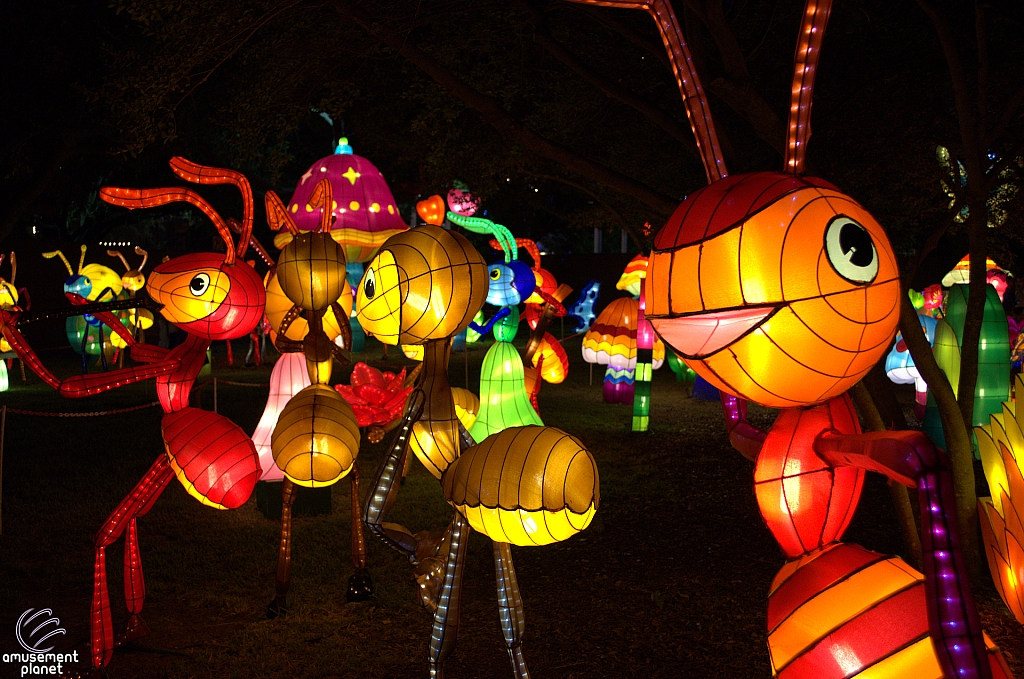 Chinese Lantern Festival