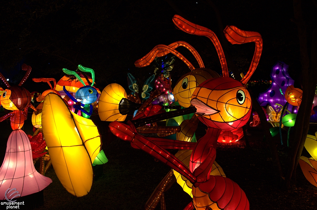 Chinese Lantern Festival