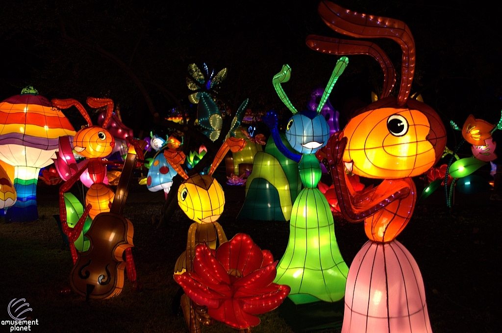 Chinese Lantern Festival