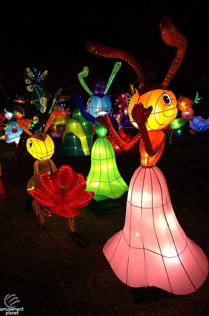 Chinese Lantern Festival