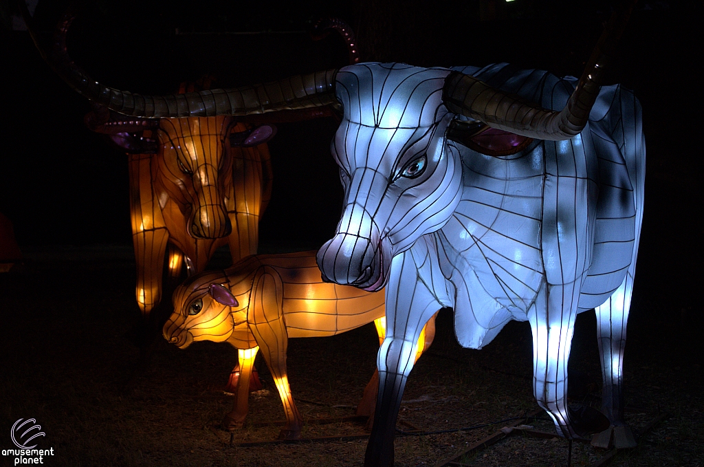 Chinese Lantern Festival