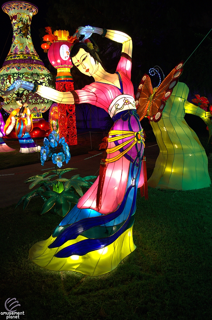 Chinese Lantern Festival