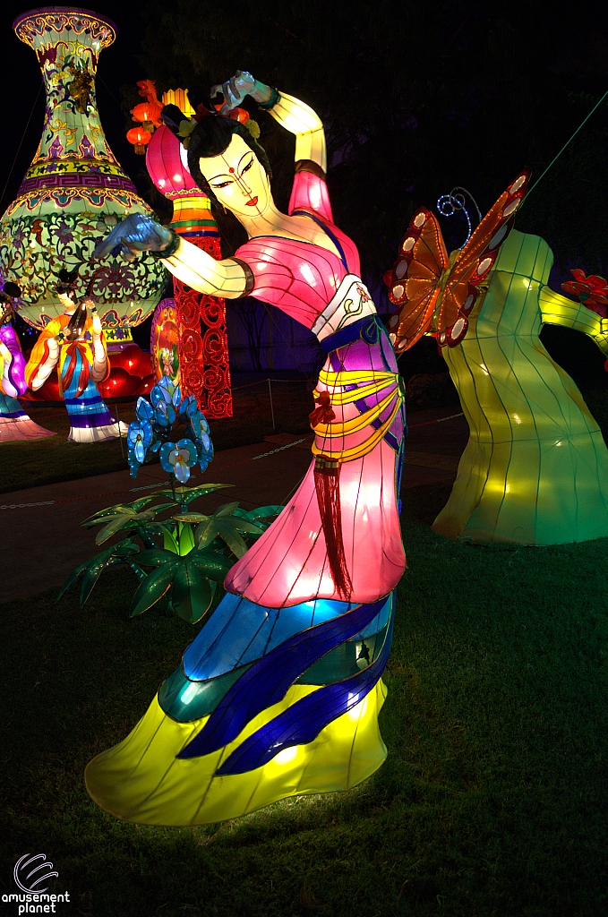 Chinese Lantern Festival