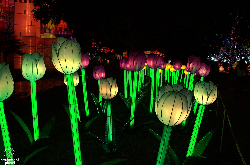 Chinese Lantern Festival