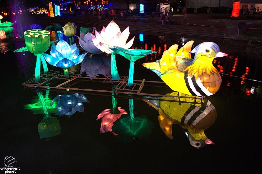 Chinese Lantern Festival