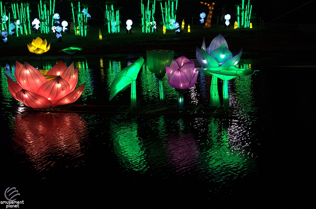 Chinese Lantern Festival