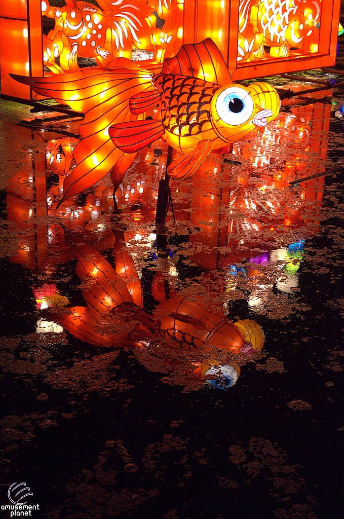 Chinese Lantern Festival