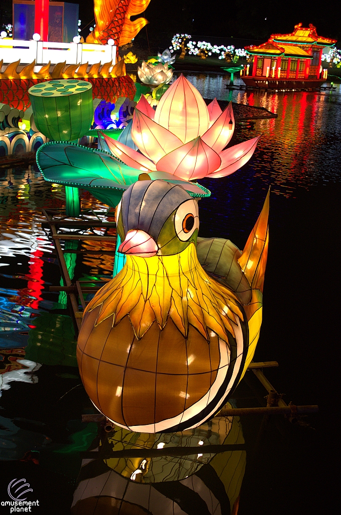 Chinese Lantern Festival