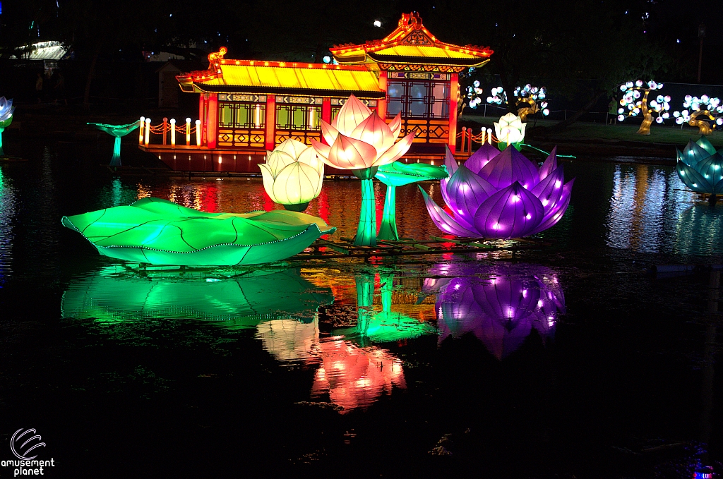 Chinese Lantern Festival