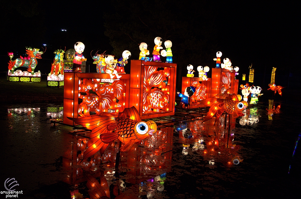 Chinese Lantern Festival