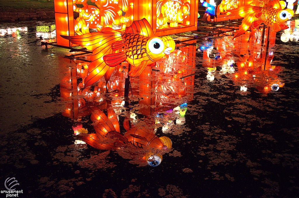 Chinese Lantern Festival