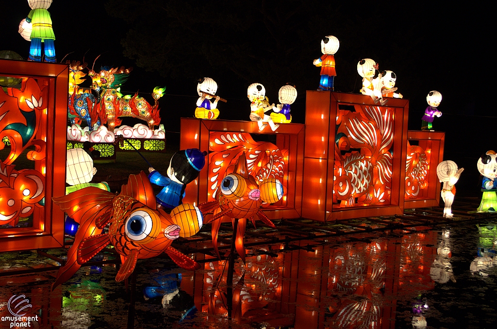 Chinese Lantern Festival